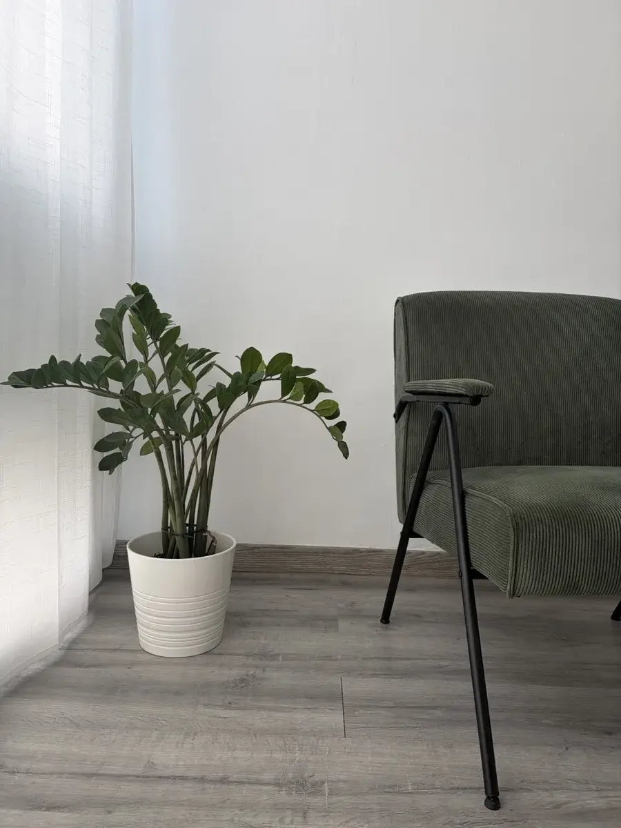 Interior psicoaction Ripollet